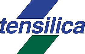 ����������� IP-���� Tensilica Inc ������� ���������� ���� ��������� ���������� �������� (DSP) HiFi Mini.