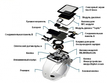 ������ ����� Apple Watch Sport 38 mm ������������� IHS Technology �������� ������� ����� ��������� �����������, ������� ��������� $81,20. ��������� ���� ������� � $349.