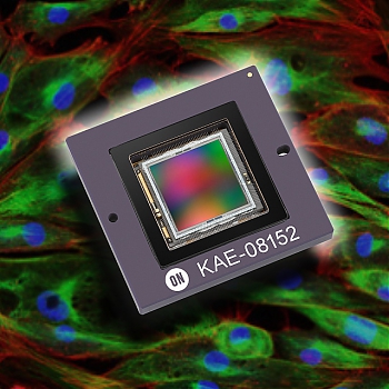 �������� ON Semiconductor ��������� ����������� ��� �������� ����������� ����� ��������, ������������ �� ������ ��� ������������-������ ��������� � ���������� �� ���������� � �����������, �������, ������������ � ������� ������������.